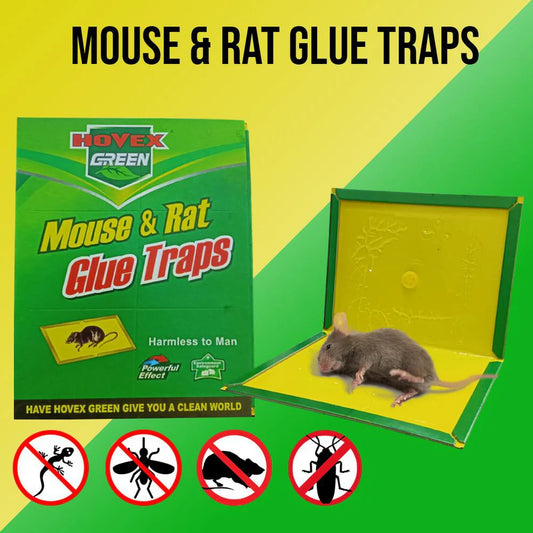 Mouse And Rat Glue Traps