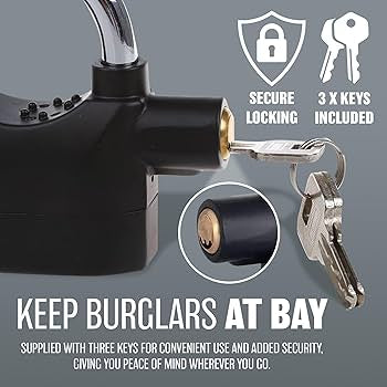 Anti-Theft Alarm Lock