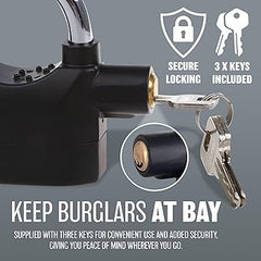 Anti-Theft Alarm Lock