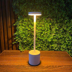 Rechargeable metal desk lamp
