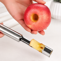 Stainles Steel Fruit Seeds Remover