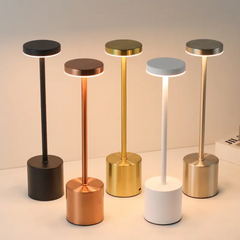 Rechargeable metal desk lamp