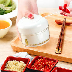 Mini Manual Food Chopper
