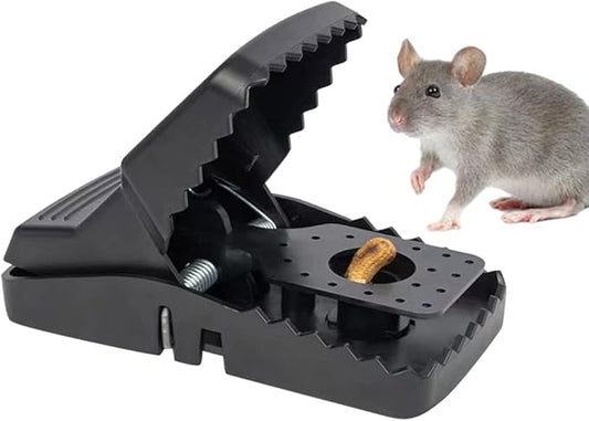 Rat Mouse Trap