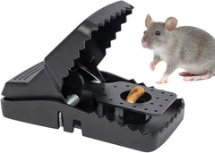 Rat Mouse Trap