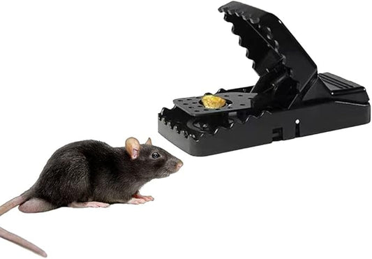 Rat Mouse Trap